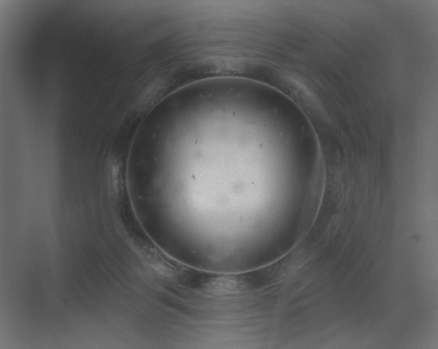 X0000075350123200609081159