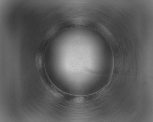 X0000075350124200609081159