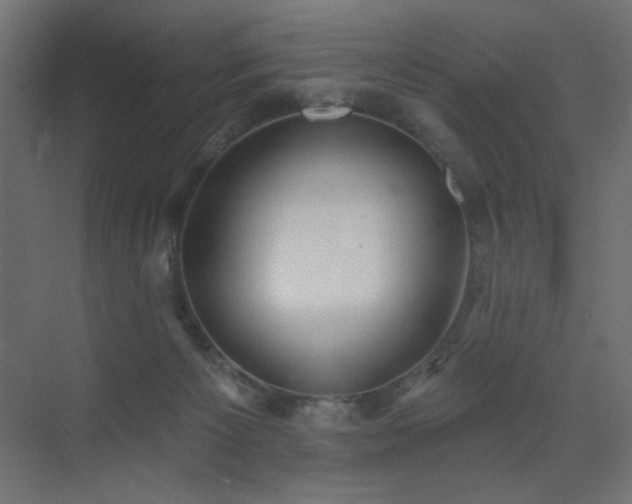 X0000075350125200609081159
