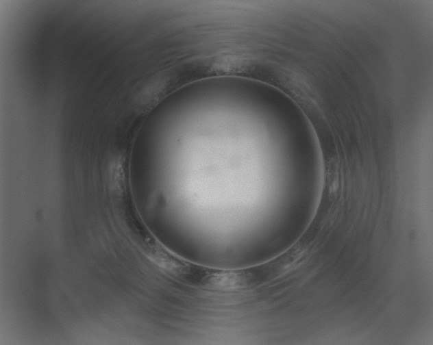 X0000075350127200609081159