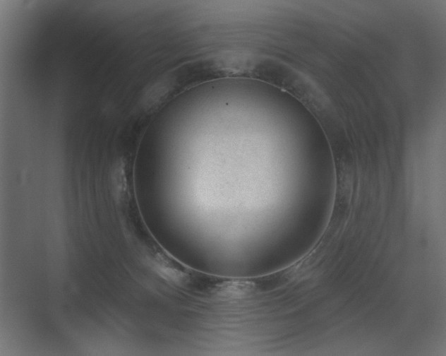 X0000075350128200609081159