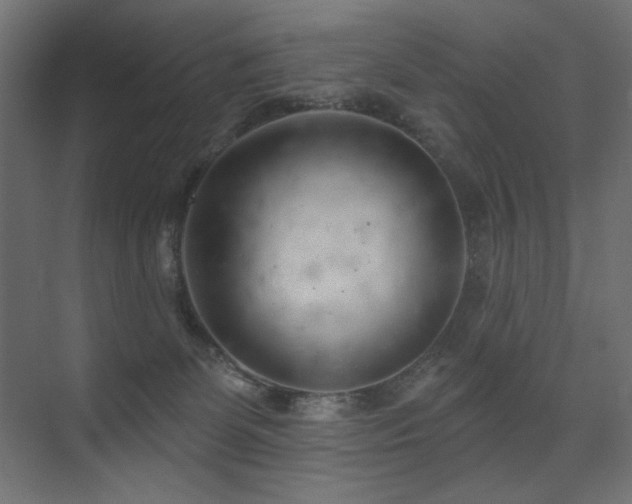 X0000075350131200609081159