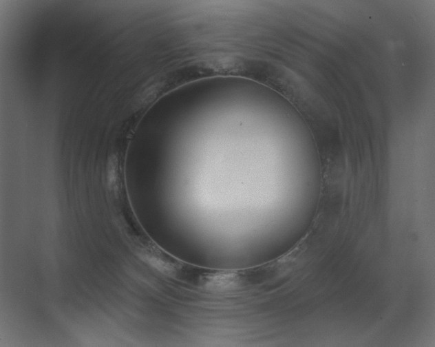 X0000075350132200609081159