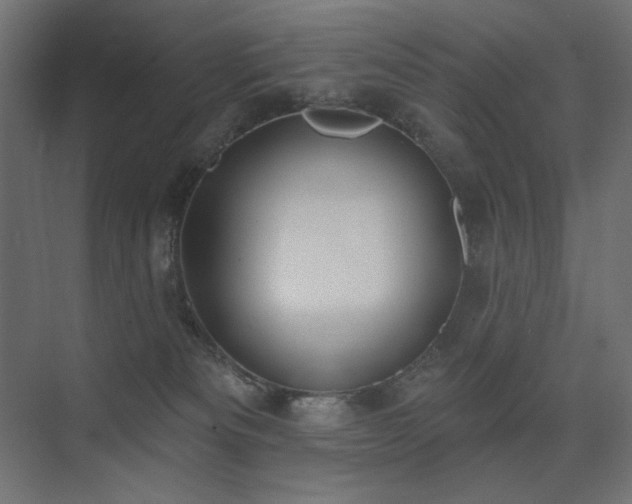 X0000075350133200609081159