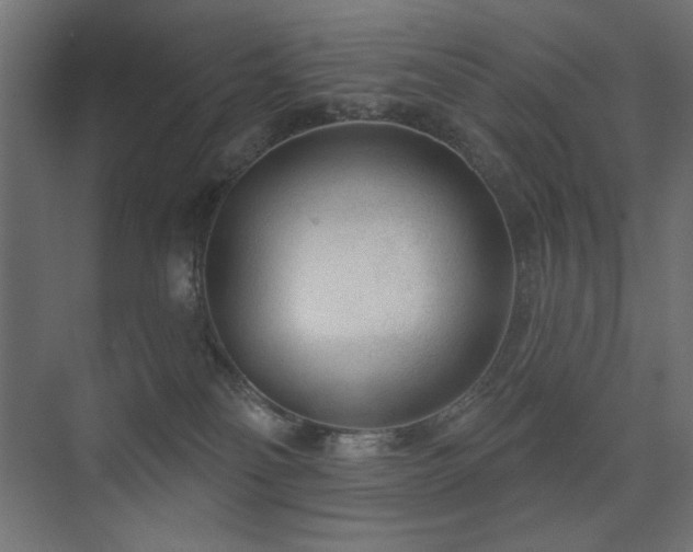 X0000075350134200609081159