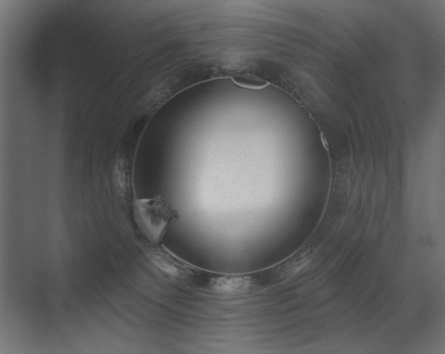 X0000075350135200609081159