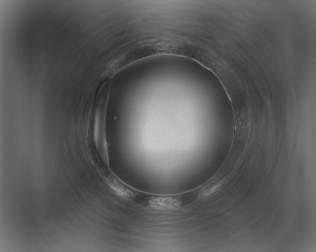 X0000075350137200609081159