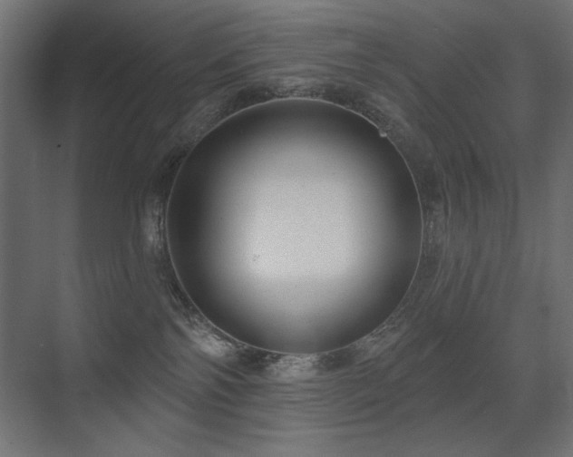 X0000075350138200609081159