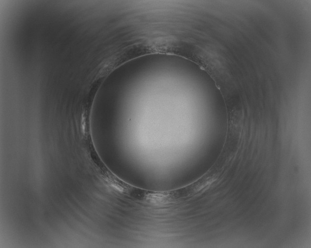 X0000075350139200609081159