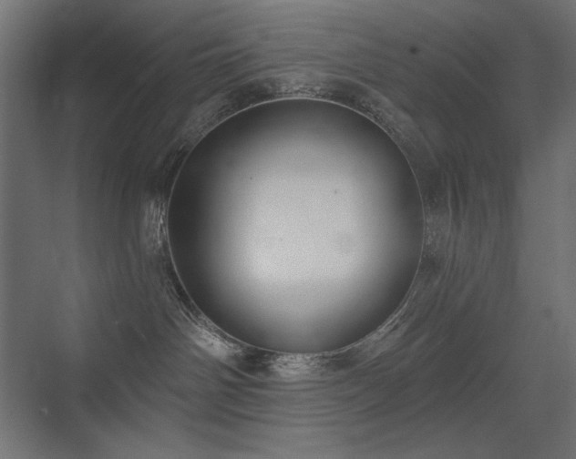 X0000075350142200609081159
