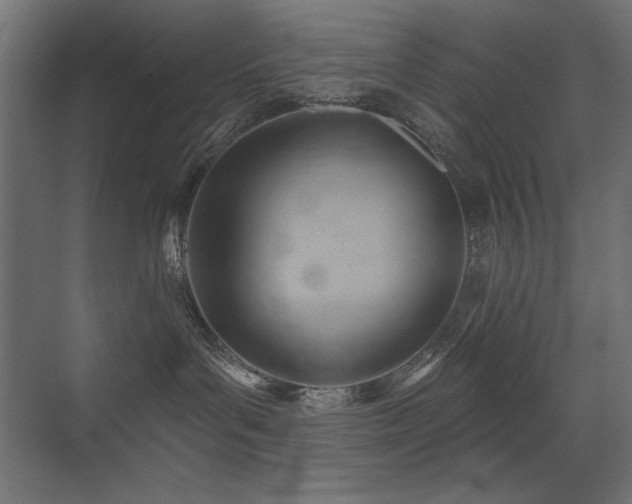 X0000075350143200609081159
