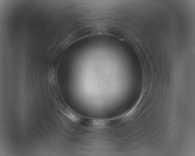 X0000075350144200609081159