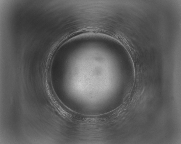 X0000075350145200609081158