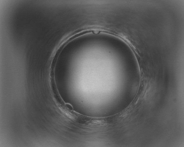 X0000075350151200609081158