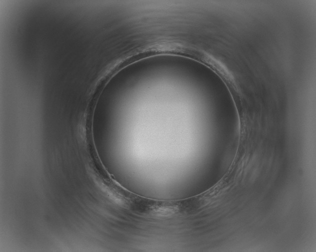 X0000075350155200609081158