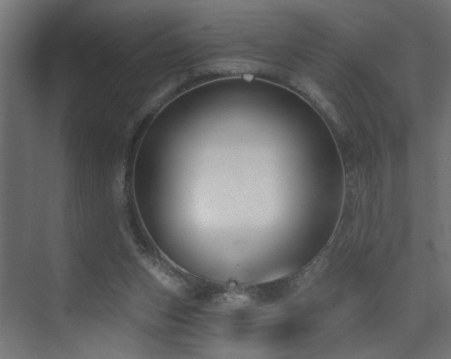 X0000075350159200609081158
