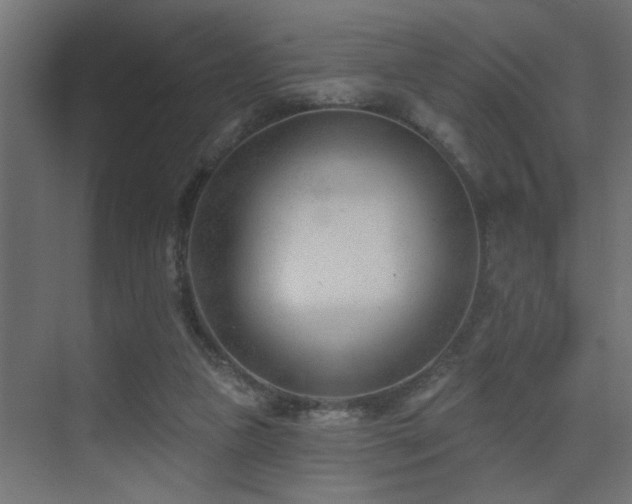 X0000075350161200609081158