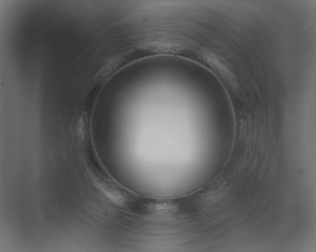 X0000075350165200609081158