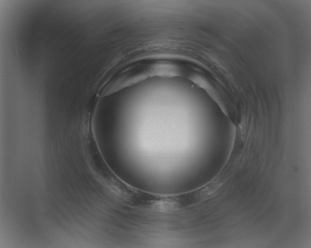 X0000075350168200609081159