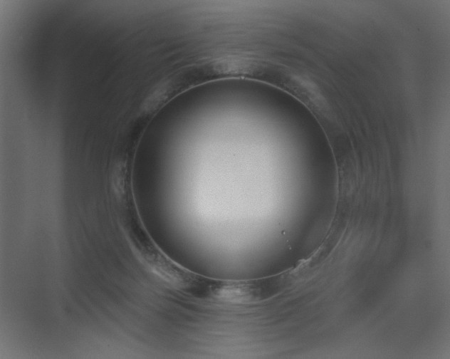 X0000075350171200609081159