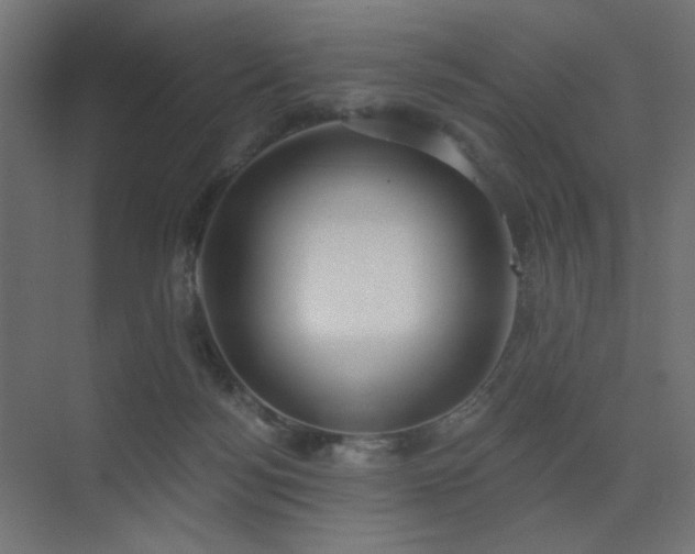X0000075350172200609081159