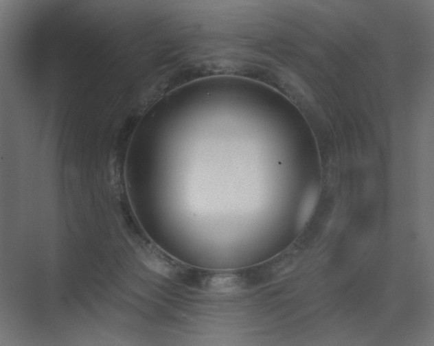 X0000075350173200609081159