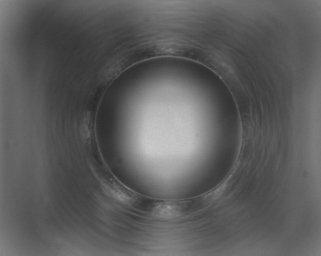 X0000075350174200609081159