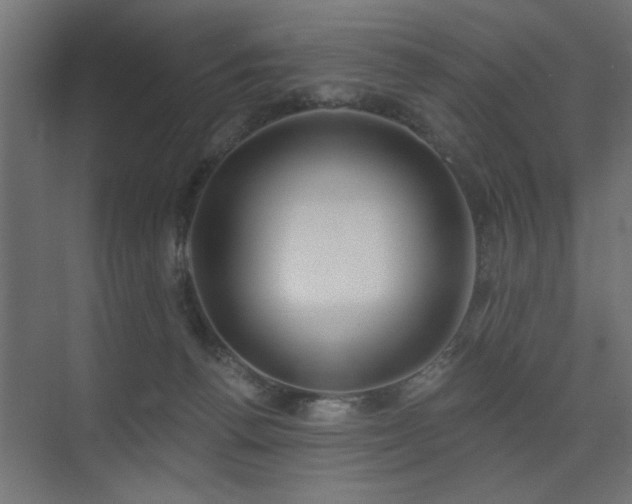 X0000075350176200609081159