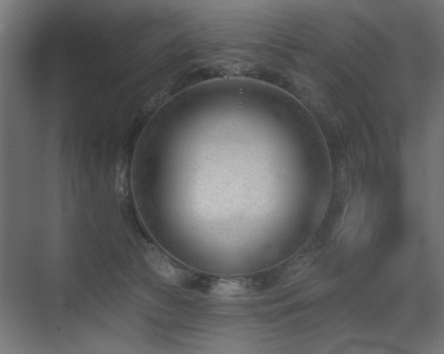 X0000075350177200609081159