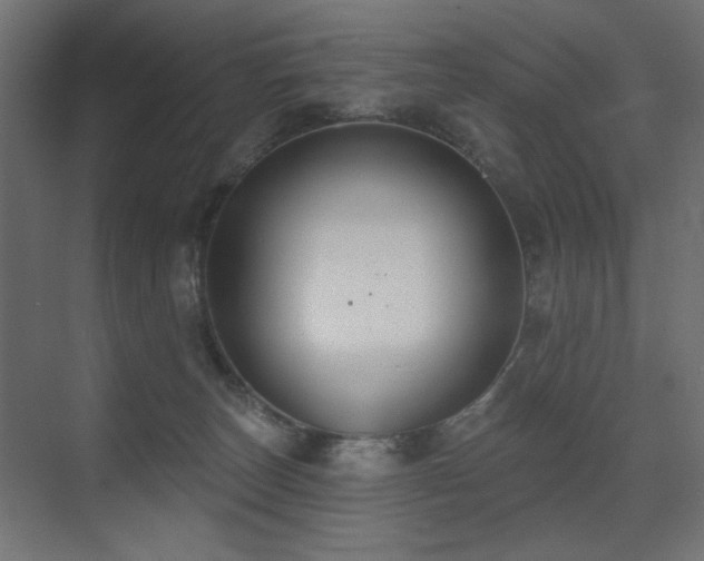 X0000075350179200609081159