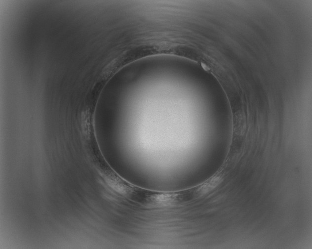 X0000075350184200609081159