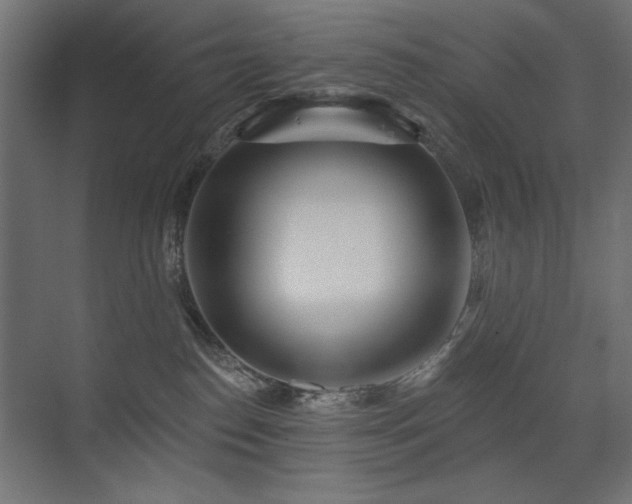 X0000075350186200609081159