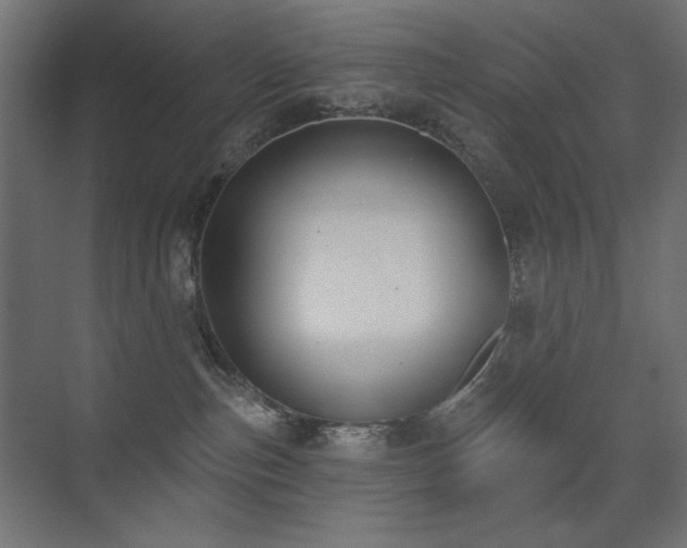 X0000075350187200609081159