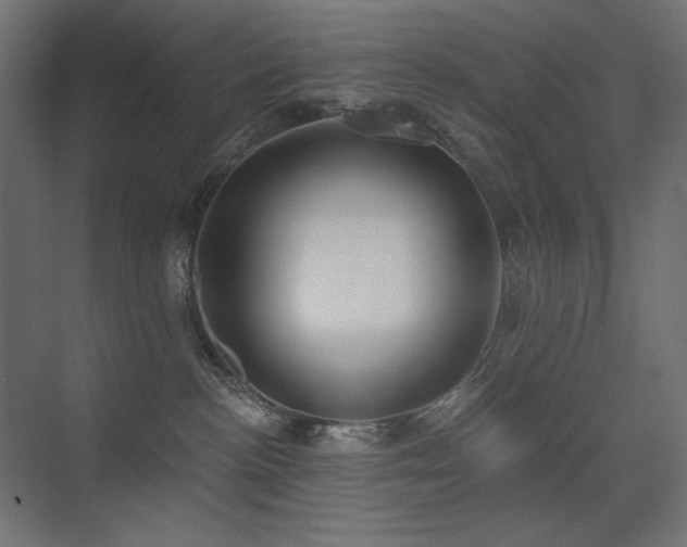 X0000075350188200609081159