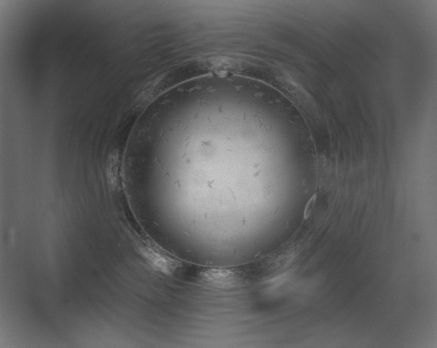 X0000075350189200609081159