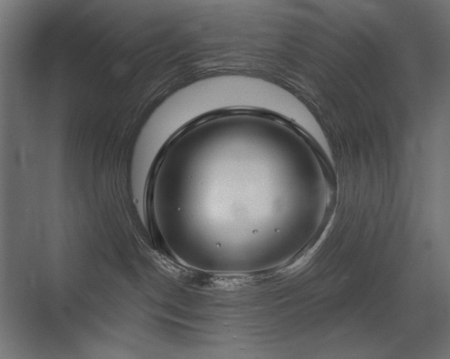 X0000075350190200609081159