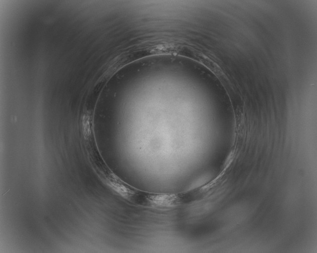 X0000075350191200609081159