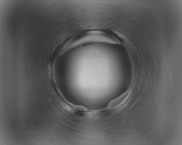 X0000075350192200609081159