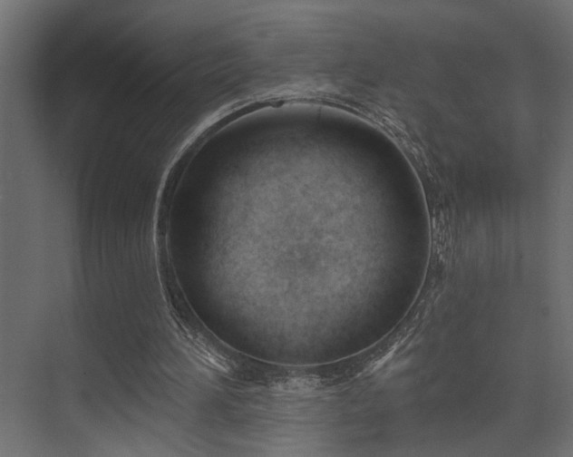 X0000075350196200609081158