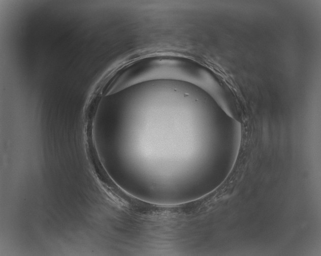 X0000075350197200609081158