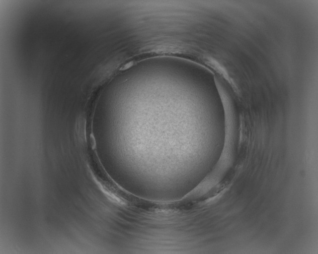 X0000075350205200609081158