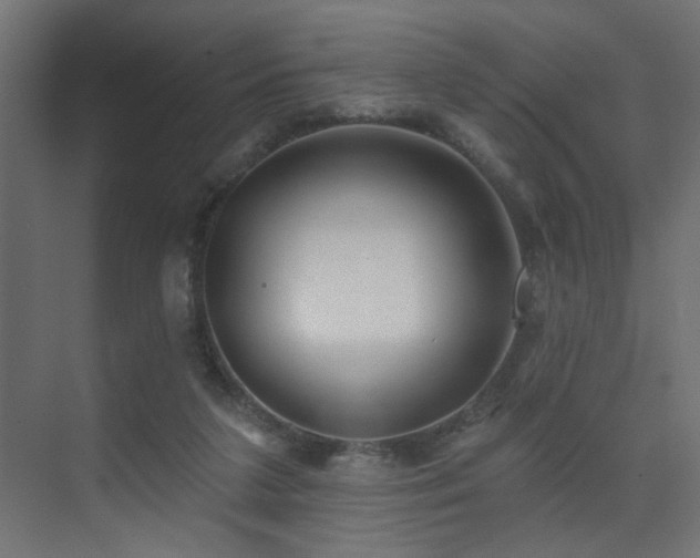 X0000075350211200609081158