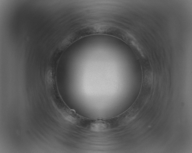 X0000075350220200609081158