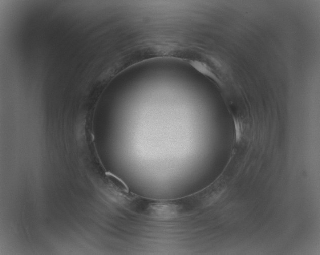 X0000075350221200609081158