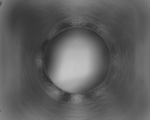 X0000075350226200609081158