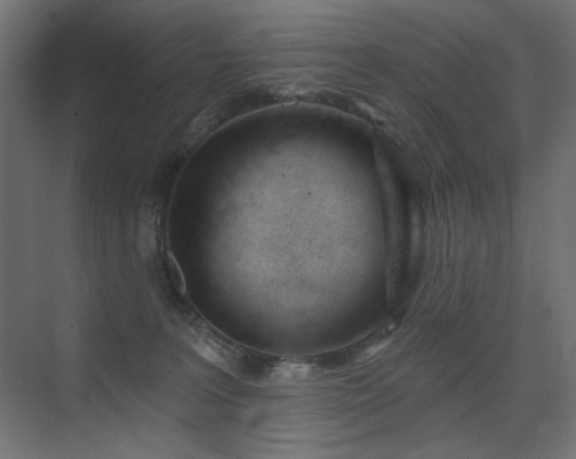 X0000075350227200609081158