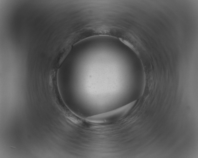 X0000075350229200609081158