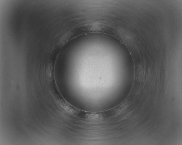 X0000075350230200609081157