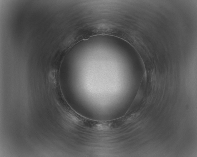X0000075350232200609081157