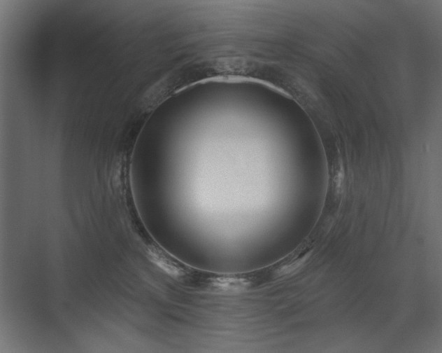 X0000075350233200609081157